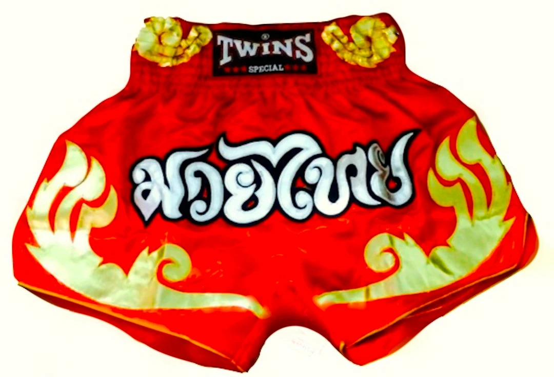 TWINS SPECIAL THAI BOXING SHORTS -TWS-T15 Muay Thai Shorts
