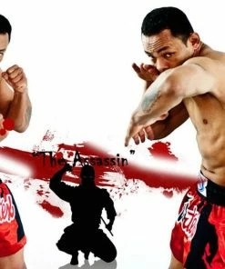 Muay Thai Shorts Fairtex