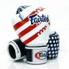 Fairtex "USA FLAG" Muay Thai Style Training Gloves - BGV1