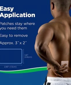 Salonpas Pain Relief Patches For Minor Aches & Pains - 2.83 X 1.81 In - 60 Patches