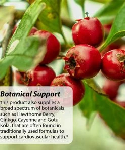 Accessories Irwin Naturals CoQ10-Plus - Optimum Heart Plus - 60 Liquid Soft-Gels