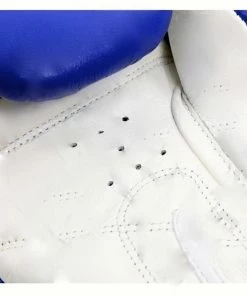 Boon Sport Thai Style Training Gloves - BGV - Various Colors