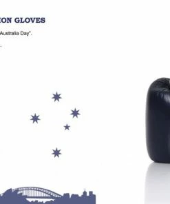 Fairtex "AUSTRALIA" Muay Thai Style Training Gloves - BGV1