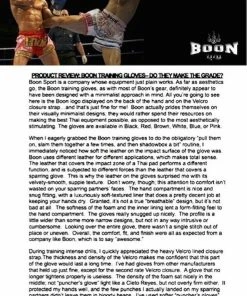 Boon Sport Thai Style Training Gloves - BGV - Various Colors