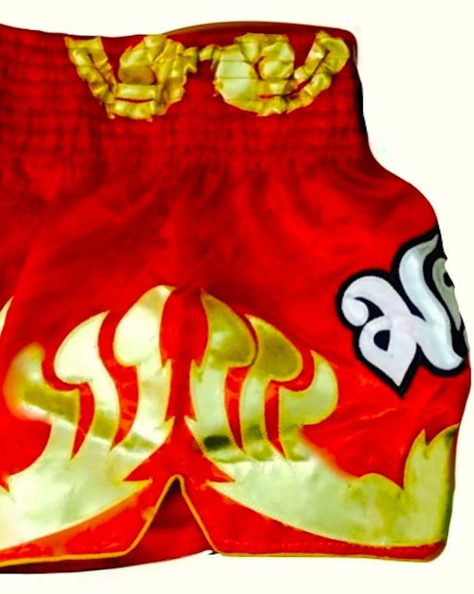 TWINS SPECIAL THAI BOXING SHORTS -TWS-T15 Muay Thai Shorts