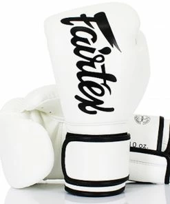 Fairtex Kids Muay Thai Boxing Gloves - BGV14 - 4oz Gloves - Extra Padding
