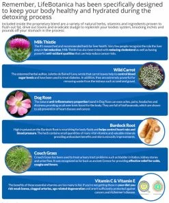 LifeBotanica LifeBotonica Detox Complete Herbal Supplement - Day & Night Detoxification Accessories