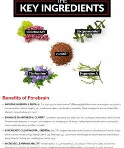 Force Factor Forebrain - Enhance Sharpness & Clarity - Boost Cognitive Performance - 30 Capsules Accessories