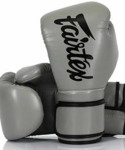 Fairtex Kids Muay Thai Boxing Gloves - BGV14 - 4oz Gloves - Extra Padding