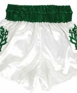 Muay Thai Shorts Fairtex "HEAVENS GRASS" Muay Thai Kickboxing Shorts - BS0648