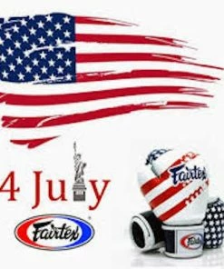 Fairtex "USA FLAG" Muay Thai Style Training Gloves - BGV1