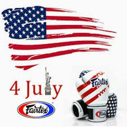 Fairtex "USA FLAG" Muay Thai Style Training Gloves - BGV1