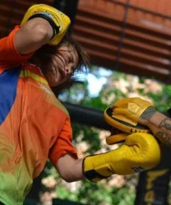 Fairtex Speed & Accuracy Focus Mitts - FMV15 - Black/Gold Pads & Mitts