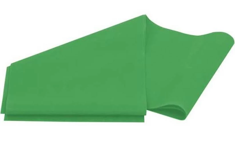 Accessories Lifeline Flat Band-LEVEL 4 HEAVY - Rubber Resistance Tool For Stamina + Strength -Green Color